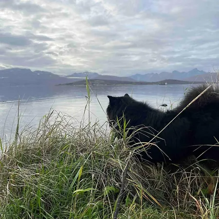 Romslig Med Kort Vei Til Flyplassen