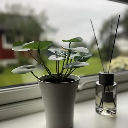 Apartmán Romslig Med Kort Vei Til Flyplassen *