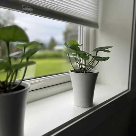 Apartmán Romslig Med Kort Vei Til Flyplassen *