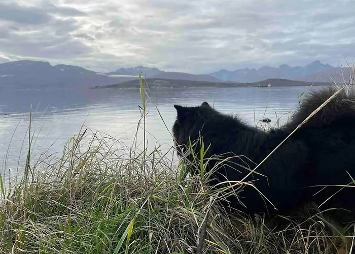 Romslig Med Kort Vei Til Flyplassen