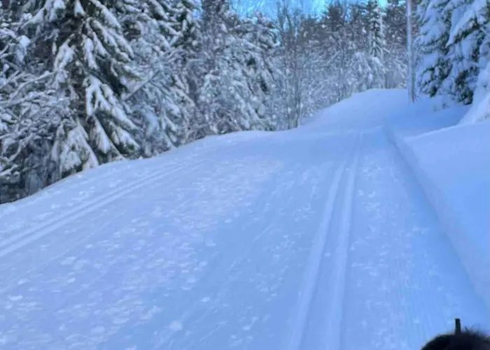Romslig Med Kort Vei Til Flyplassen Apartamento Tromsø