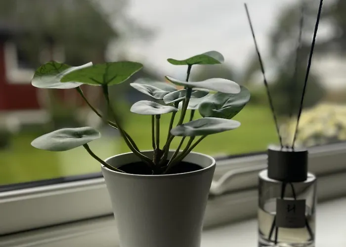 Apartamento Romslig Med Kort Vei Til Flyplassen *