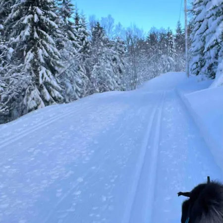 Romslig Med Kort Vei Til Flyplassen Lägenhet Tromsø